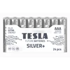TESLA Alkalinė baterija LR03 F24 1.5V 10 vnt.