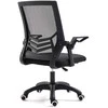 Anji Jiayou furniture co., LTD Ergonominė biuro kėdė, juoda