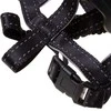 Fiziologinis snukis- 3 dydis