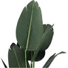 Dirbtinė dekoratyvinė augalas 120 cm - Tipas 2