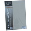 Galeria Papieru Dekoratyvinis kartonas Argo Florida, A4, 250g, 20 lapų, kreminės spalvos