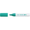 Dekoratyvinis žymeklis Pilot Pintor, 1,4mm, žalios spalvos