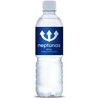 Mineralinis vanduo Neptūnas, negazuotas, 0.5l (D)
