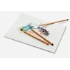 Pieštukas Faber-Castell Pitt Pastel, #188, Sanguine spalvos