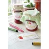 Faber-Castell - Indijos rašalas Pitt Artist Pen C color (4 vnt) (167505)
