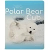 Sąsiuvinis Bruno Visconti A5, Polar Bear Cub, 5x5 langeliais, 48 lapų