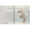 Sąsiuvinis Bruno Visconti A5, Polar Bear Cub, 5x5 langeliais, 48 lapų