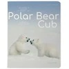 Sąsiuvinis Bruno Visconti Polar Bear Cub 2, A5, langeliais, 48 lapų