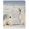 Sąsiuvinis Bruno Visconti Polar Bear Cub 3, A5, langeliais, 48 lapų