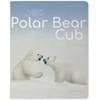 Sąsiuvinis Bruno Visconti Polar Bear Cub 2, A5, langeliais, 48 lapų