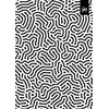 Sąsiuvinis College BW, A4, 80 lapų, langeliais, su spirale