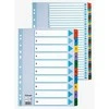 Skiriamieji lapai Esselte Mylar, A4, 1-10 skaičiai, spalvotii