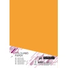 Spalvotas kartonas College A4 20 lapų, 160g/m2, auksinės spalvos, AG10