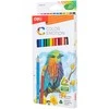 Spalvoti pieštukai DELI EC00200, 12 spalvų