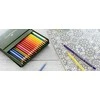 „Faber-Castell“ – spalvoti „Polychromos“ pieštukai – studijos dėžutė po 36 (110038)