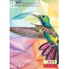 Spalvoto popieriaus rinkinys College, A4, 80g, 4 neoninės spalvos po 5 lapus, 20 lapų
