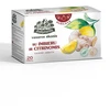 Vaisinė arbata Žolynėlis "Vasaros skonis" su imbieru ir citrinomis, 40g (2g x 20)