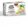 Vaisinė arbata Žolynėlis "Vasaros skonis" su imbieru ir citrinomis, 40g (2g x 20)