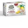 Vaisinė arbata Žolynėlis "Vasaros skonis" su imbieru ir citrinomis, 40g (2g x 20)