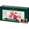 Faber-Castell – Indijos rašalo PAP Dual Marker gėlės (5 vnt) (162007)