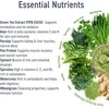 Applied Nutrition Critical Greens 250 g