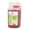 Orlen Oil Alyva Orlen TRAWOL 2T Raudonas, 1L