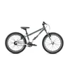 Vaikų dviratis Early Rider Belter 20 Auto Forest Žalias/Brushed
