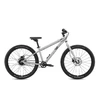 Vaikiškas dviratis Early Rider Belter 24 Brushed