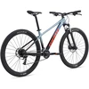 None Dviratis GIANT Talon 3, 29" Frost Sidabrinis ,S,