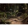 None Dviratis GIANT Talon 2, 29" Dried Matcha ,XL,