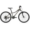 Vaikiškas kalnų dviratis Giant XTC Jr 24