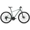 Krosinis dviratis Giant Roam 4 Disc Misty Forest, M