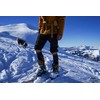 COMPRESSPORT SKI TOURING FS slidinėjimo kojinės