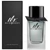 Mr Burberry EDT tualetinis vanduo unisex, 100 ml