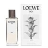 Loewe 001 Man EDP parfumuotas vanduo vyrams, 50 ml