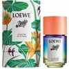 Loewe Paula's Ibiza Eclectic EDT tualetinis vanduo unisex, 100 ml
