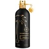 Montale Paris Montale Aqua Palma EDP parfumuotas vanduo Unisex, 100 ml