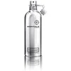 Montale Paris Montale Chocolate Greedy EDP 100ml