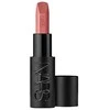 NARS ilgai išliekantys lūpų dažai (Explicit Lipstick) 3,8 g, 821 Liaison