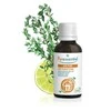 Puressentiel Pure Air Blend eterinių aliejų mišinys 30ml