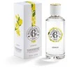 Roger &amp; Gallet R&amp;g jean marie farina eau cologne 100ml + savon 100gr