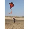 Aitvaras 51WA Diamond kite dragon
