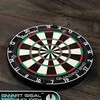 Harrows Darts taikinys QUADRO 240