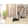 Elipsinis treniruoklis KETTLER OPTIMA 100