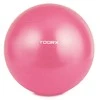 Gimnast. kamuolys 55cm TOORX AHF-069 su pompa