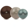 Gimnast. kamuolys 55cm TOORX Liveness AYP-001 su pompa