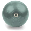 Gimnast. kamuolys 55cm TOORX Liveness AYP-001 su pompa