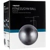 Gimnast. kamuolys AVENTO 42OB 65cm Sidabrinis