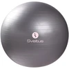 Gimnast. kamuolys GYMBALL 65cm pilkas+pakuotė