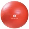 Sveltus Oranžinis Gimnast. kamuolys GYMBALL 55cm oranžinis+pakuotė